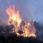 Saison des feux de forêt préoccupante : les autorités alertent sur une hausse des incendies.