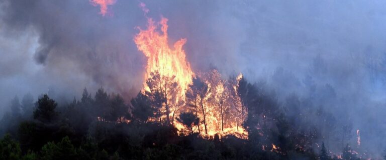 Saison des feux de forêt préoccupante : les autorités alertent sur une hausse des incendies.