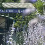 La lavande de Chamaloc, entre secrets culinaires et héritage familial dans le Diois