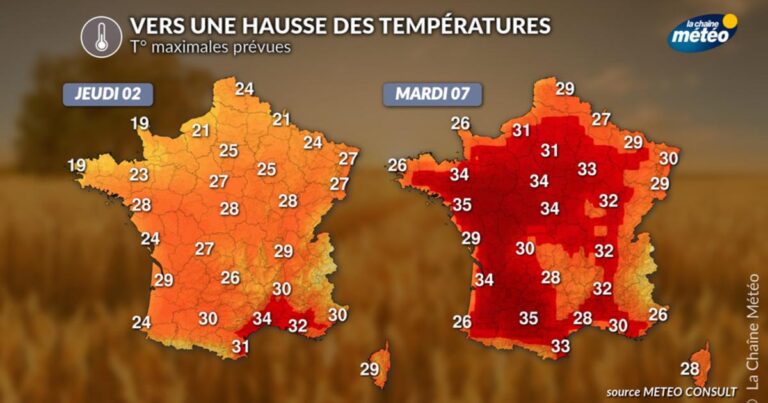 Canicule attendue la semaine prochaine en France, alertes émises par Météo-France.