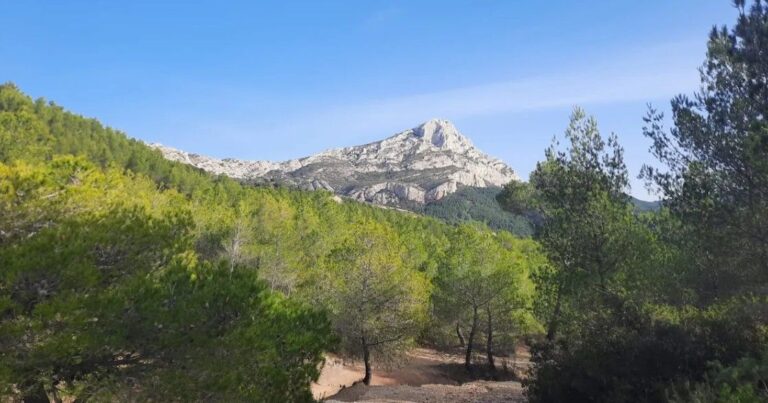 Fermeture des massifs forestiers des Bouches-du-Rhône en raison d’un risque d’incendie sévère