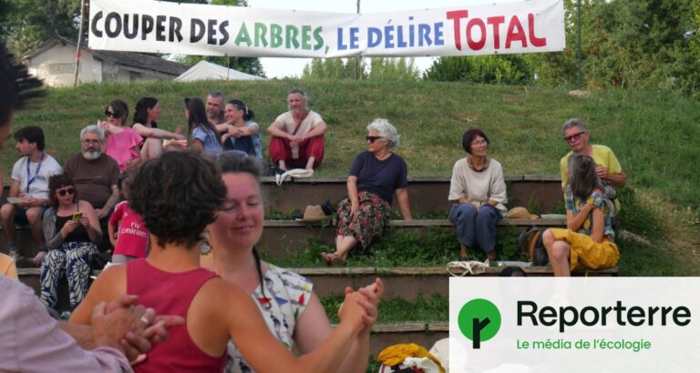 Des écologistes s’opposent à des projets photovoltaïques en raison de leur impact environnemental.