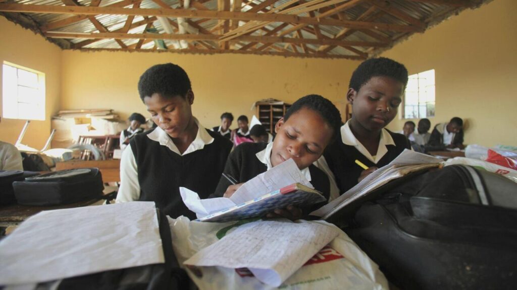 Soweto : Les émeutes relancent le débat sur les langues d’enseignement en Afrique du Sud