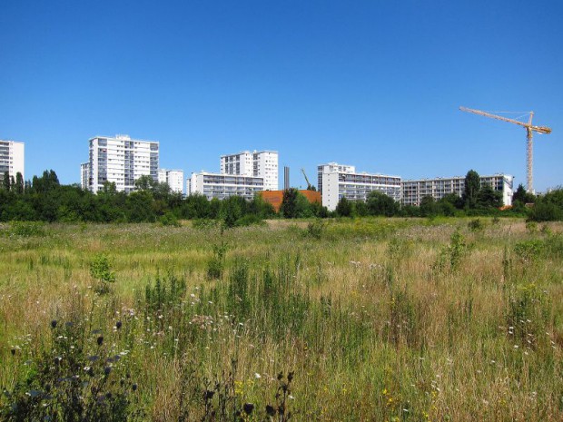 Rénovation urbaine : la commune de Grigny adopte une feuille de route pour son avenir.