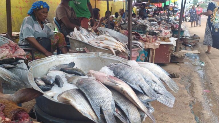 Accord de pêche entre le Gabon et l’Union européenne non renouvelé, tensions sur les quotas.