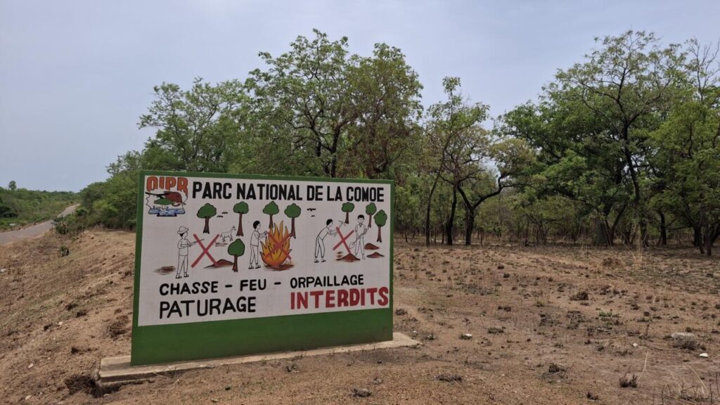 Côte d’Ivoire : Parc de la Comoé face à des défis économiques et sociaux croissants.