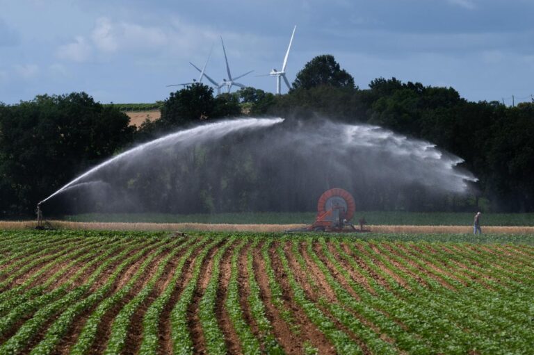 Projet de loi d’urgence agricole : tensions sur l’eau entre agriculteurs et autorités.