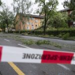 Un adolescent meurt écrasé par une branche lors d&rsquo;une tempête à Zurich.