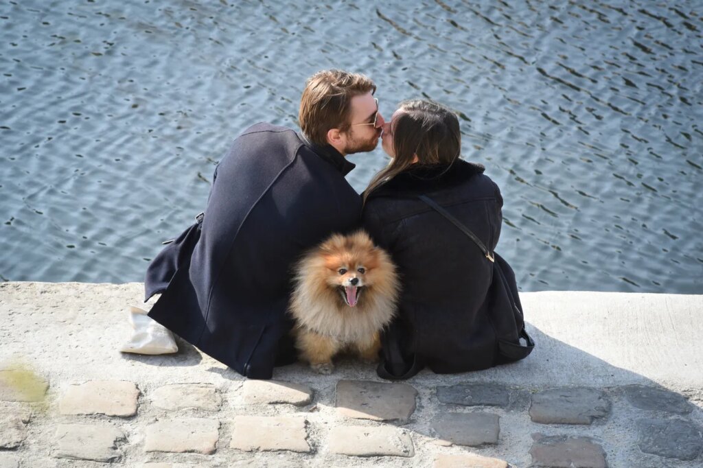 Une étude révèle que les couples adoptant un chien ont plus d’enfants par la suite.