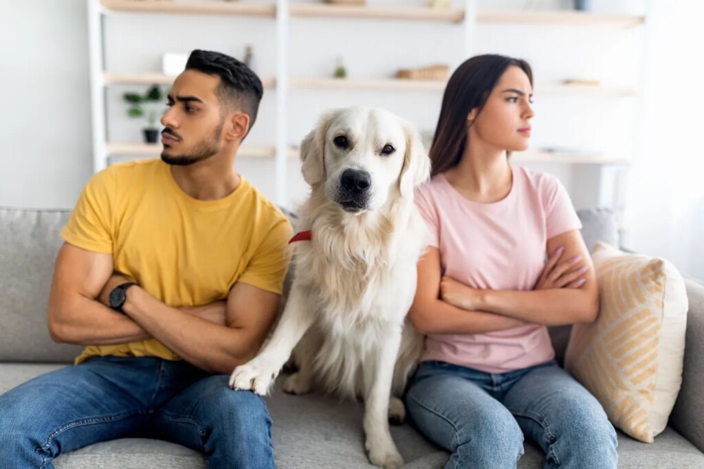Divorce : qui obtient la garde des animaux de compagnie en cas de séparation ?