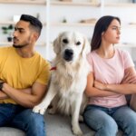 Divorce : qui obtient la garde des animaux de compagnie en cas de séparation ?