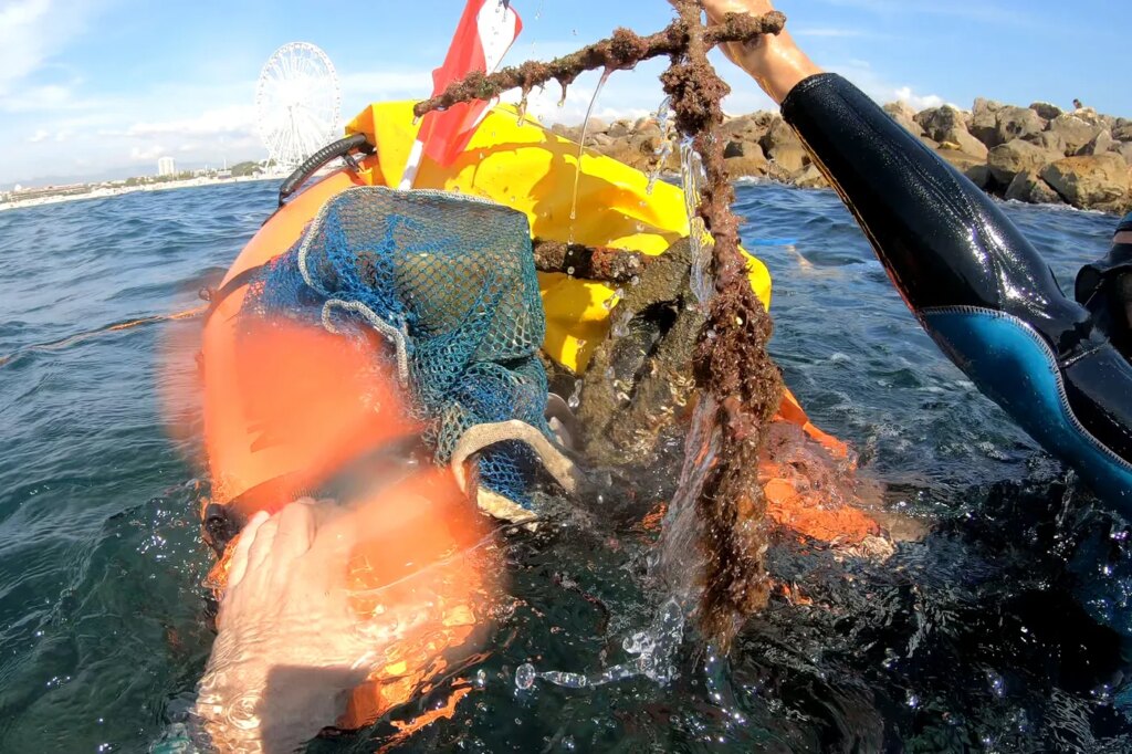 Quatre initiatives pour protéger les littoraux face à la pollution marine.
