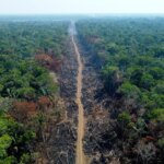 Lula annonce des avancées dans la lutte contre la déforestation au Brésil.