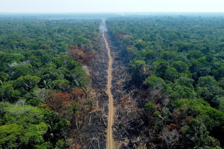 Lula annonce des avancées dans la lutte contre la déforestation au Brésil.