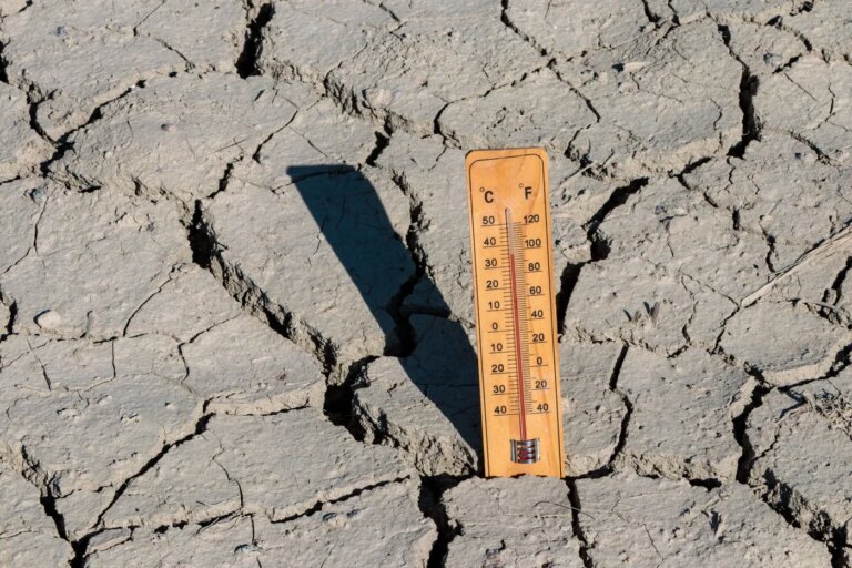 Climat : l’ONU prédit des températures records dans les cinq prochaines années