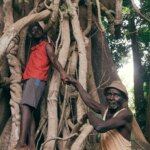 Déclin des animistes aux Bijagos : qui protégera la biodiversité de la forêt sacrée ?