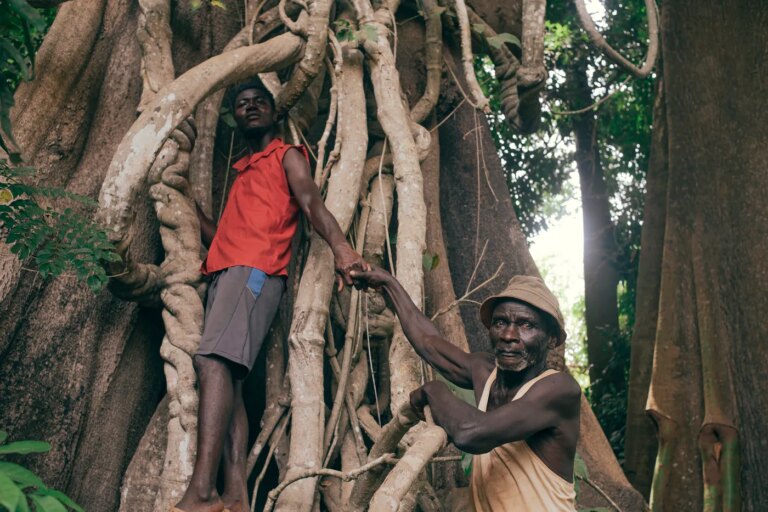 Déclin des animistes aux Bijagos : qui protégera la biodiversité de la forêt sacrée ?