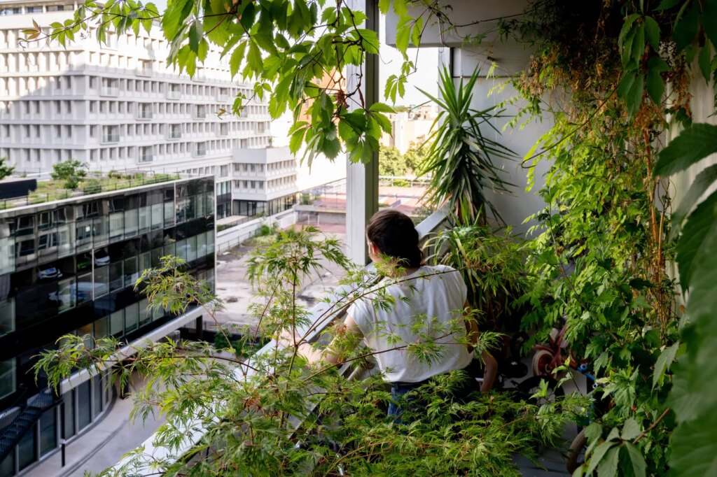 Canicule à Lyon : rue du Lac, des habitants peinent à vivre dans la chaleur intense.
