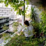 Canicule à Lyon : rue du Lac, des habitants peinent à vivre dans la chaleur intense.