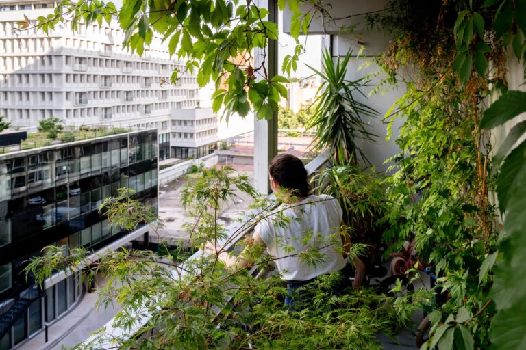Canicule à Lyon : rue du Lac, des habitants peinent à vivre dans la chaleur intense.