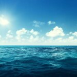 Le réchauffement des océans menace la biodiversité marine et les économies côtières.