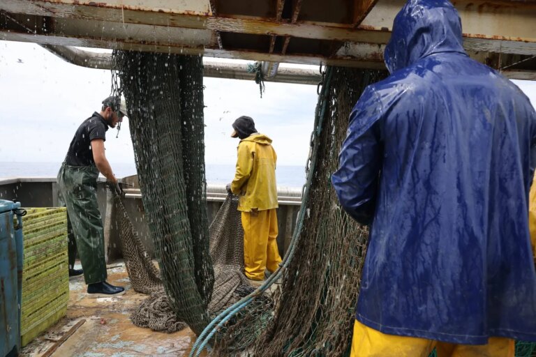 Fermeture de la pêche dans le Golfe de Gascogne pour protéger les dauphins.