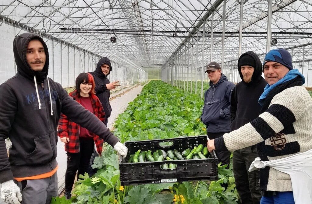 Les Anges gardins adoptent des pratiques durables pour s’émanciper sur le plan alimentaire.