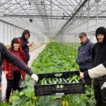 Les Anges gardins adoptent des pratiques durables pour s&rsquo;émanciper sur le plan alimentaire.