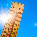 L&rsquo;étymologie du mot canicule révèle des liens surprenants avec l&rsquo;astronomie.