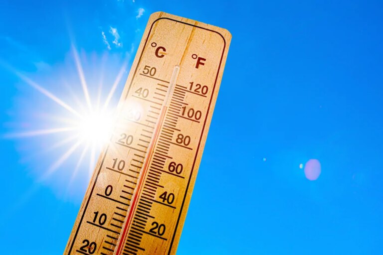 L’étymologie du mot canicule révèle des liens surprenants avec l’astronomie.