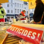Loi d’urgence agricole : le Sénat adopte la réintroduction de pesticides interdits.