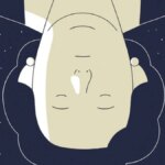 Interview de Fabien Roché sur la météorite de Hodges et ses implications scientifiques.