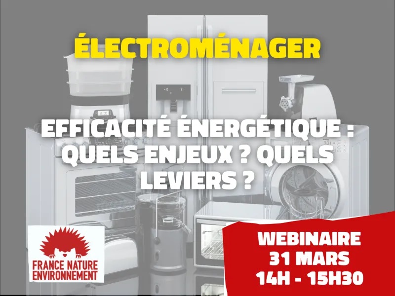 Webinaire sur les équipements électroménagers : enjeux pour le secteur de l’électroménager en France.