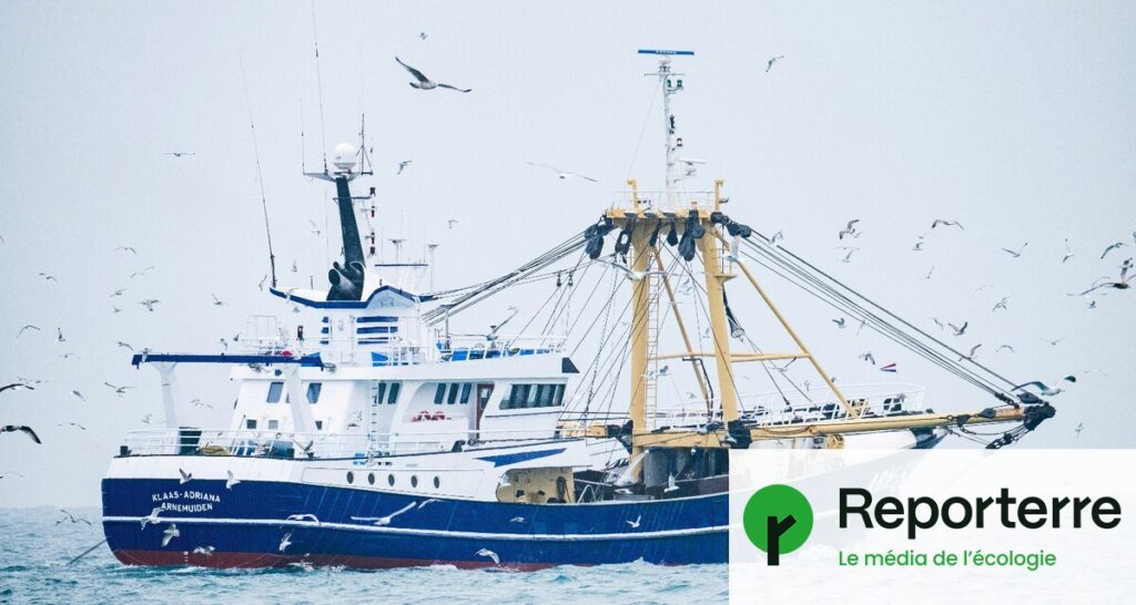 Pêche : la ministre de la Mer envisage d’exclure les bateaux industriels des côtes françaises