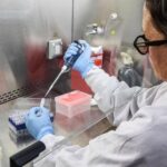 Hantavirus détecté dans plusieurs régions, Bayern et PSG se préparent pour leur match décisif.