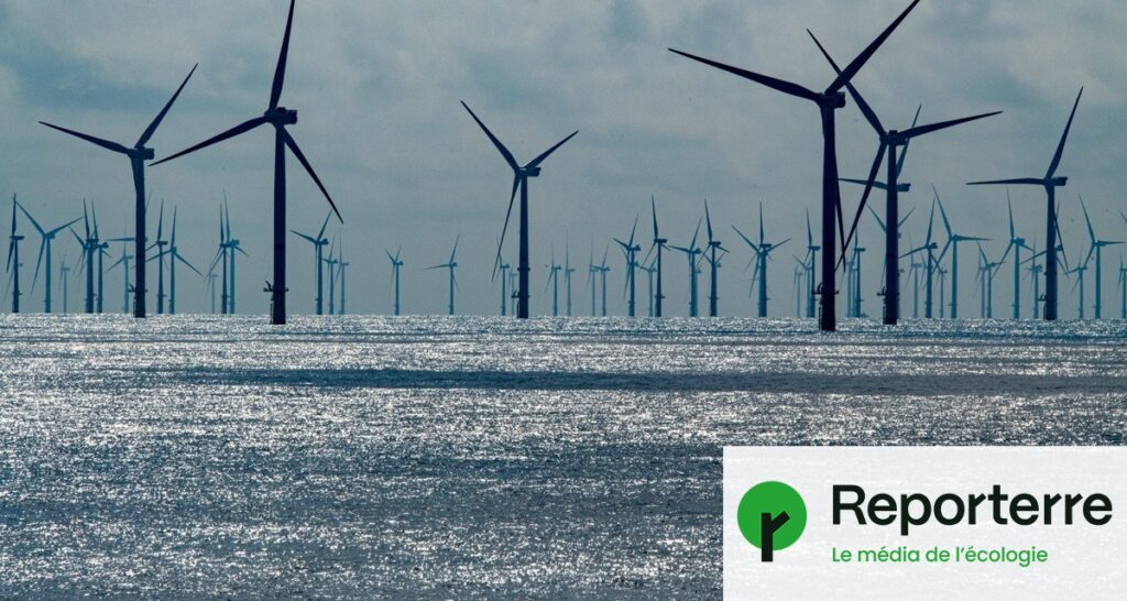 Les parcs éoliens et leur potentiel pour restaurer les écosystèmes marins.