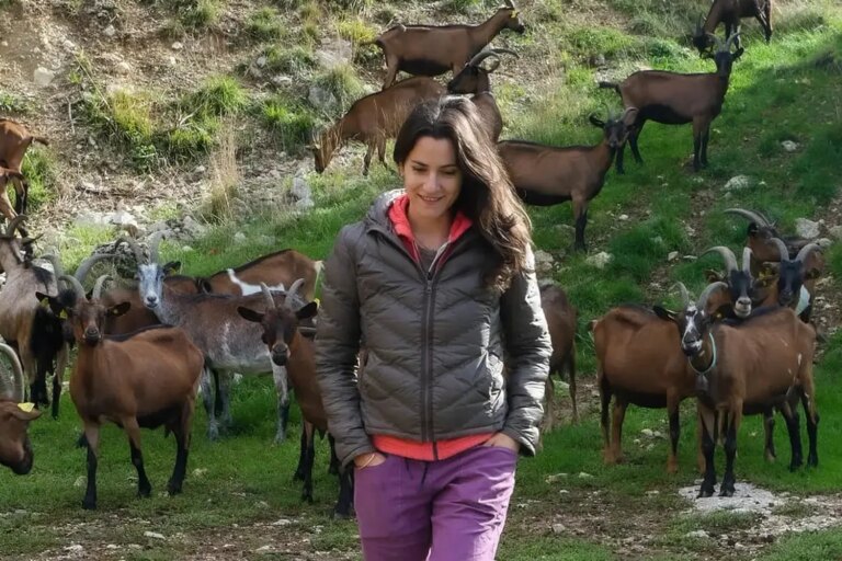 À 33 ans, un couple quitte son emploi pour élever des chèvres et rechercher l’autonomie.
