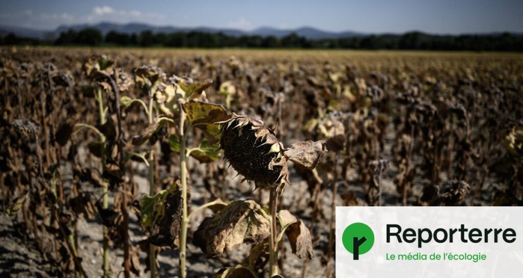 Accélération du changement climatique : des scientifiques alertent sur des conséquences graves.