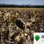 Accélération du changement climatique : des scientifiques alertent sur des conséquences graves.