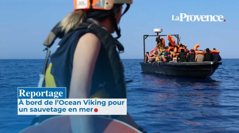 Les collégiens d’Henri Fabre à Vitrolles récompensés par la fondation Tara Ocean.
