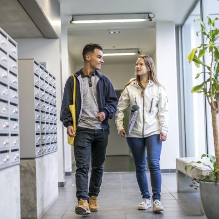 Insersup : un outil critiqué pour son efficacité limitée dans l’insertion professionnelle en France.