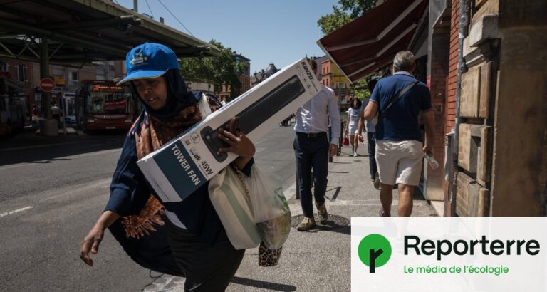 Canicules répétées : la colère des citoyens face à l’inaction des autorités