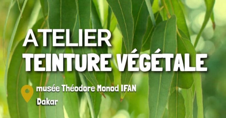 Atelier de teinture végétale organisé par le musée Théodore Monod à Dakar