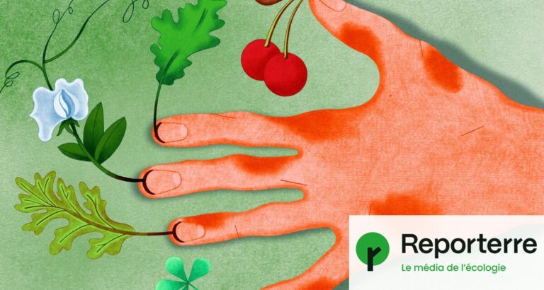 Les jardiniers urbains adoptent le jardinage en pleine terre pour une production durable.