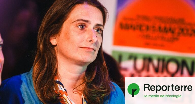 Écologie à la présidentielle : Tondelier face à l’abandon de la primaire.