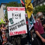 Chlordécone : la cour d’appel de Paris confirme le non-lieu dans le scandale sanitaire.