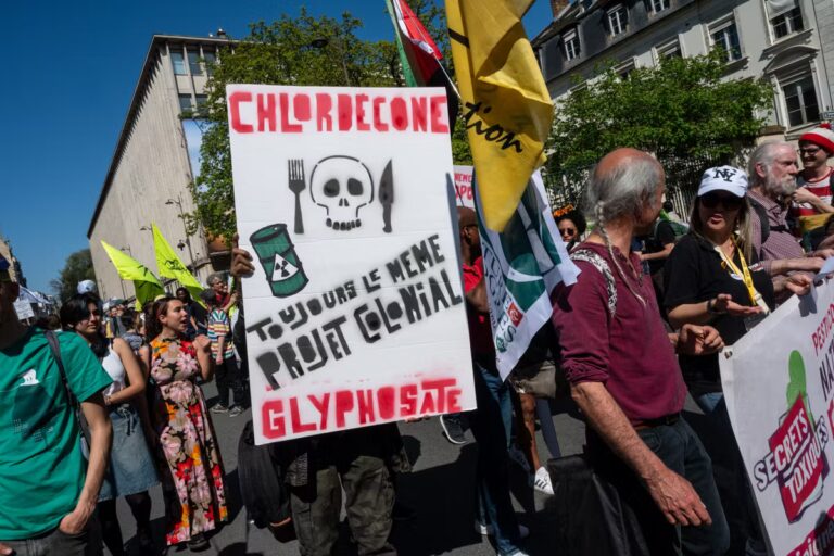 Chlordécone : la cour d’appel de Paris confirme le non-lieu dans le scandale sanitaire.