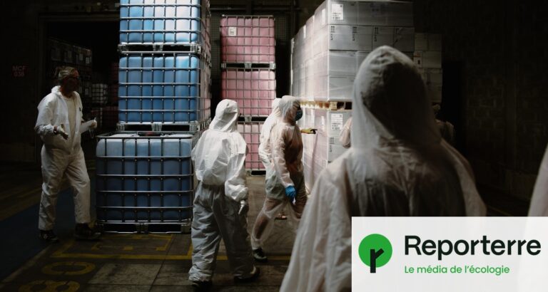 Des militants infiltrent une usine BASF en France et sont interpellés par la gendarmerie.
