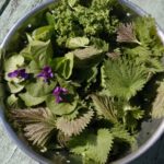 Cinq plantes comestibles à cueillir dans les espaces urbains en France.