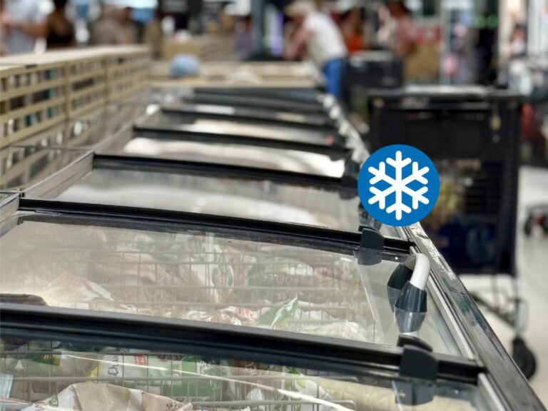 Rappel Consommateur – Détail Produits surgelés commercialisés en rayon libre service entre le 22/06/2026 16h15 et le 23/06/2026 9h45 Diverses marques